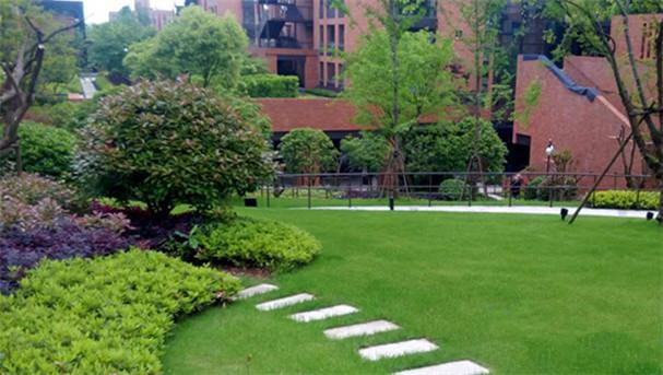 1515984517074023100.jpg 1515984517074023100.jpg