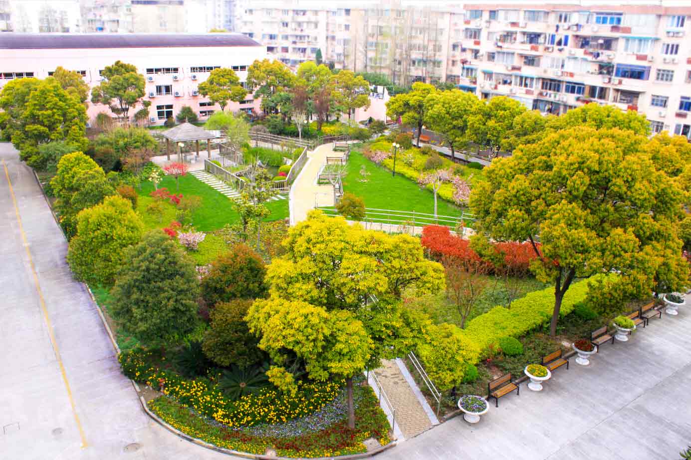 1516155412424080100.jpg 1516155412424080100.jpg