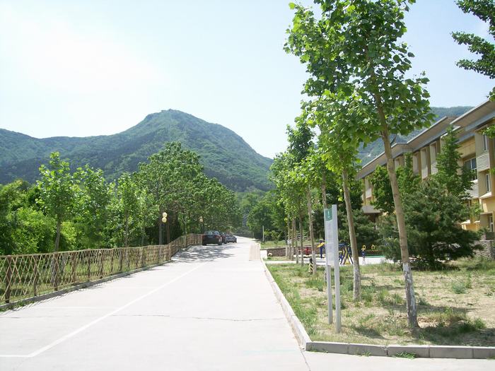 1516414626818057675.jpg 1516414626818057675.jpg