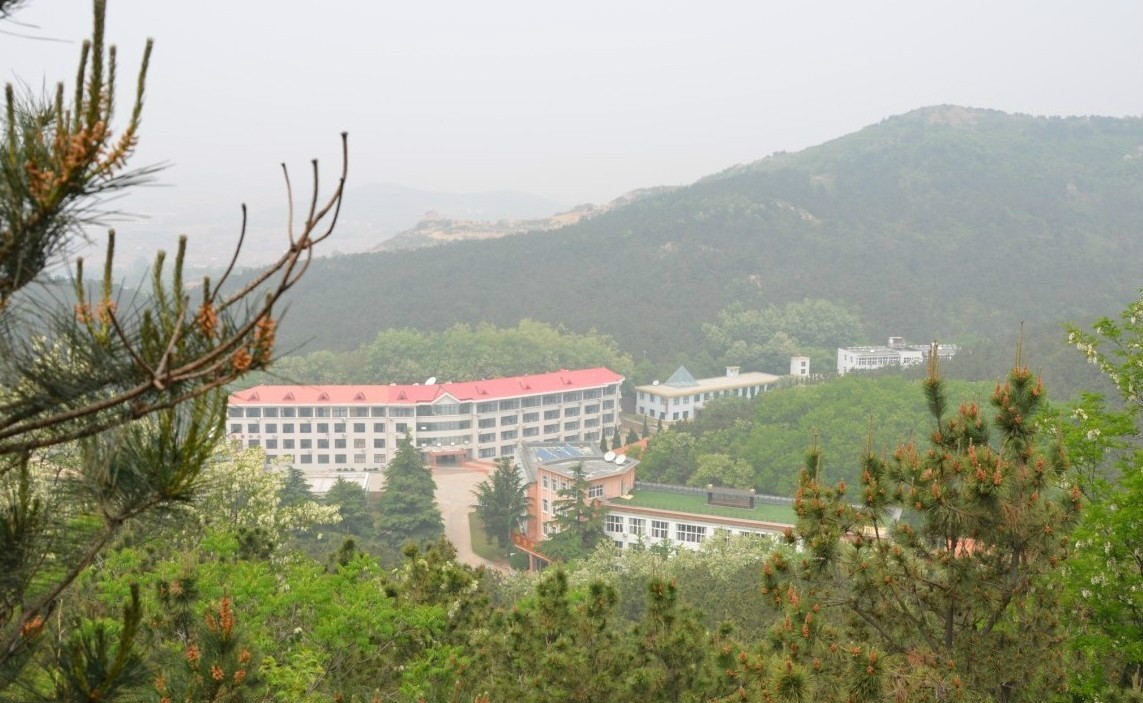 1517534410863093104.jpg 1517534410863093104.jpg