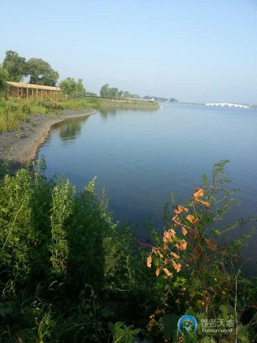 1517534813483036697.jpg 1517534813483036697.jpg