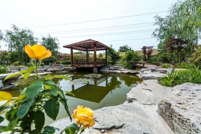 1517622114839030316.jpg 1517622114839030316.jpg