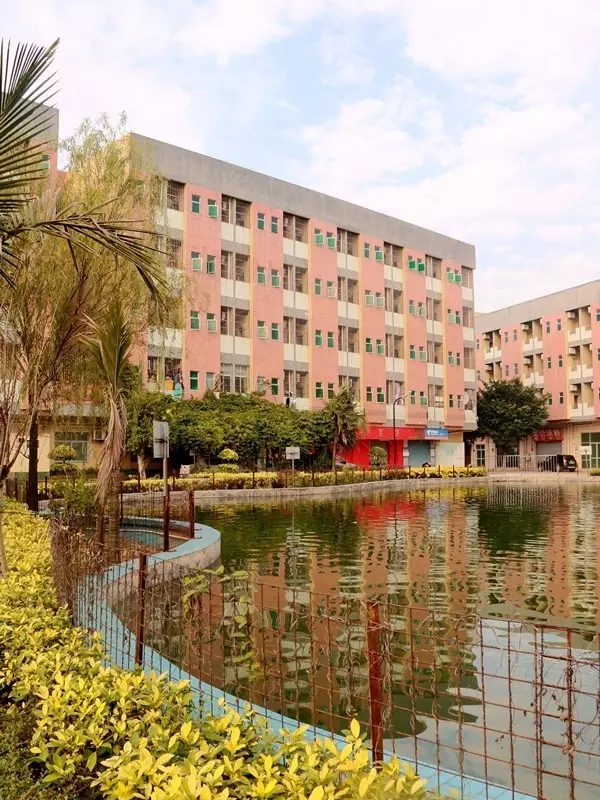 1518421082707013745.jpg 1518421082707013745.jpg