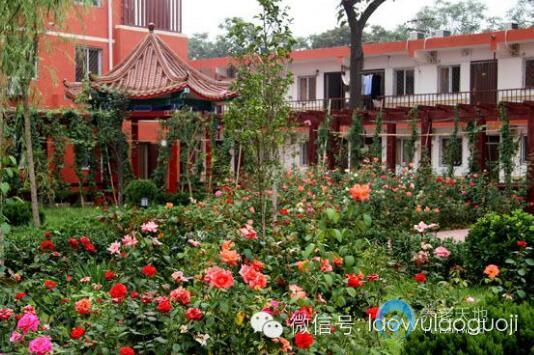 1519874075306012805.jpg 1519874075306012805.jpg