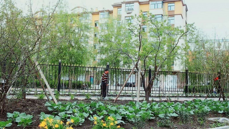 1521509439601098399.jpg 1521509439601098399.jpg