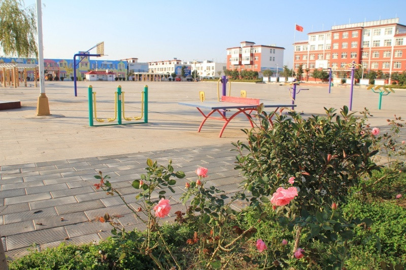 1522286789364072536.jpg 1522286789364072536.jpg