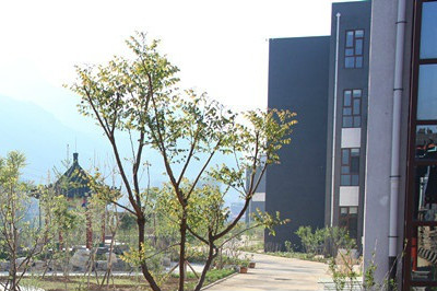 1522377318828094653.jpg 1522377318828094653.jpg