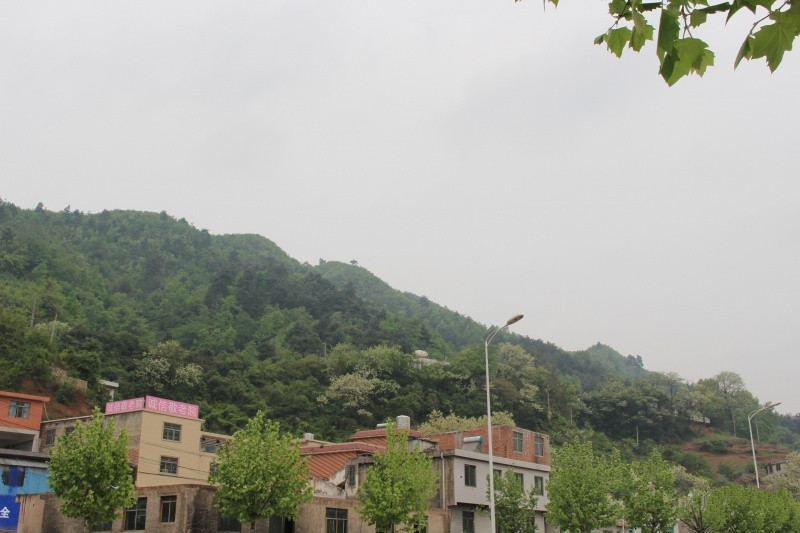 1522830467917023143.jpg 1522830467917023143.jpg