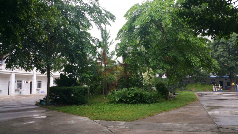 1524533375884061019.jpg 1524533375884061019.jpg