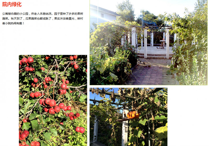 1524906769165094480.jpg 1524906769165094480.jpg