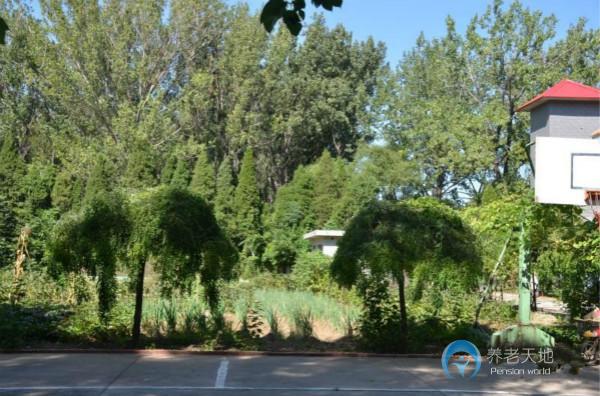 1525915856057037170.gif 1525915856057037170.gif