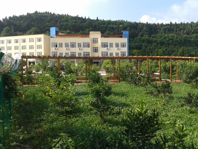 1540862334380053975.jpg 1540862334380053975.jpg