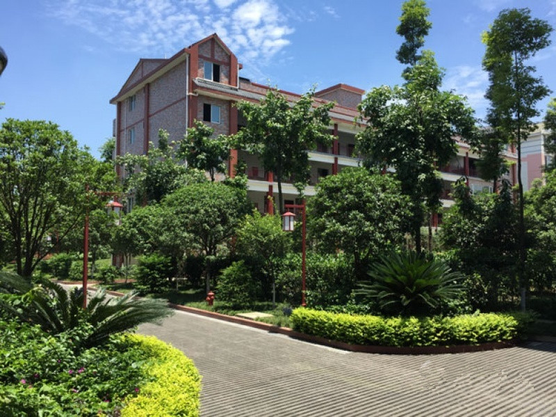 1541726250013090189.jpg 1541726250013090189.jpg