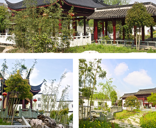 1543026253573030850.png QQ截圖20181124102327.png