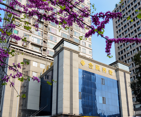 1543990523085028196.png 1.png