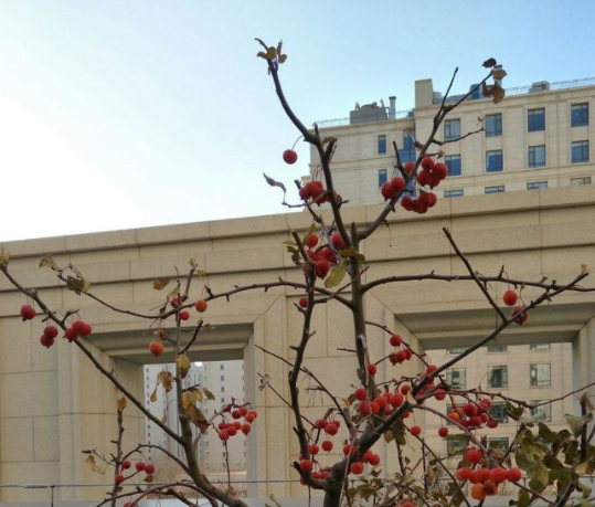 1545128267867058576.png 20.png