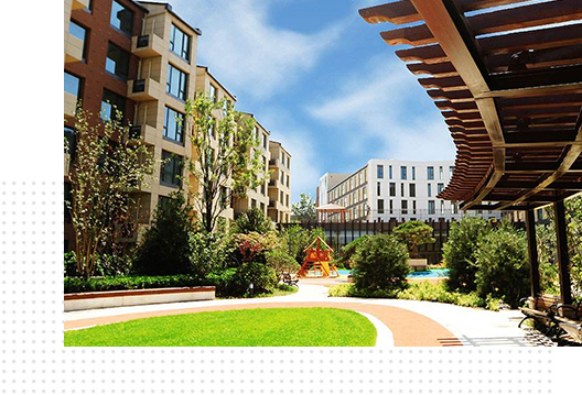 1545370051162082706.png jies1.png