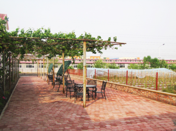 1545629627357074946.png QQ截圖20181224124212.png