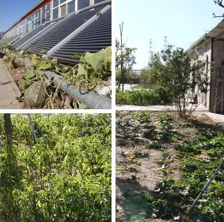 1545797868225018285.png QQ截圖20181226121359.png