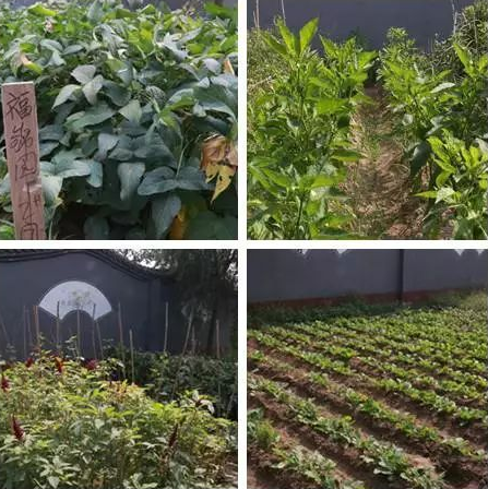 1545898349734055347.png QQ截圖20181227160524.png