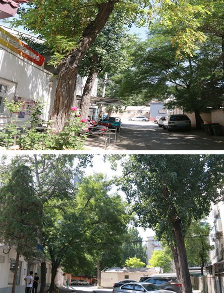 1545900112402083724.png QQ截圖20181227163743.png