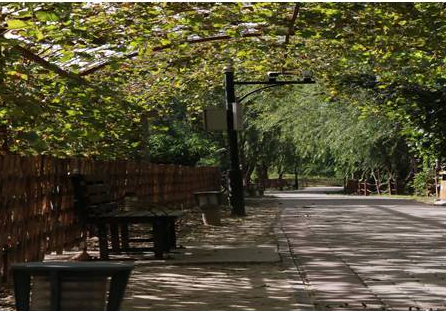 1546506787366037950.png QQ截圖20190103170903.png