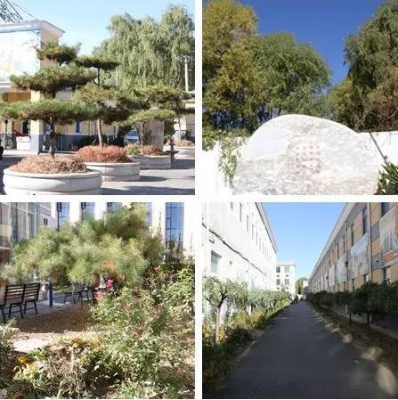 1546509506097081578.png QQ截圖20190103175401.png