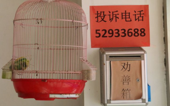 1546509765163077716.png QQ截圖20190103175639.png