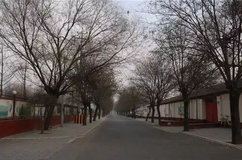 1546593178969040931.png QQ截圖20190104171013.png