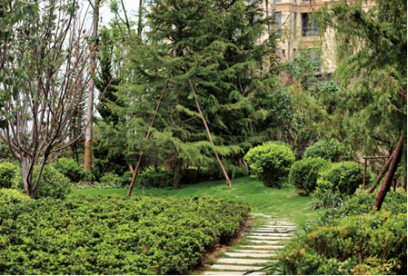 1546847396757017698.png QQ截圖20190107154656.png