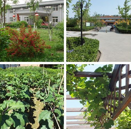 1546852857910010422.png QQ截圖20190107171704.png