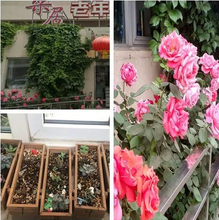 1546855105615074788.png QQ截圖20190107175341.png