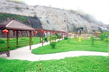 1547542325800086175.jpg 14.jpg