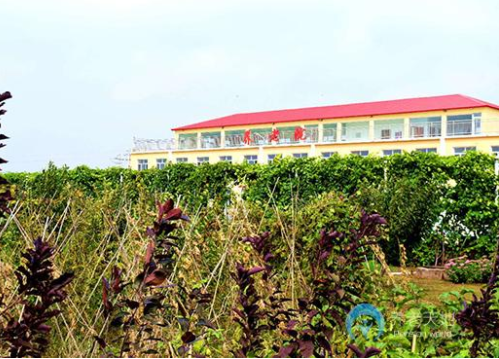 1547715207013042060.png QQ截圖20190117165313.png