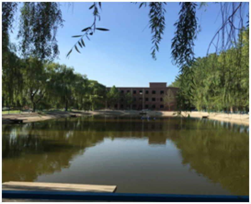 1547904908898065681.jpg 2017072483018.jpg