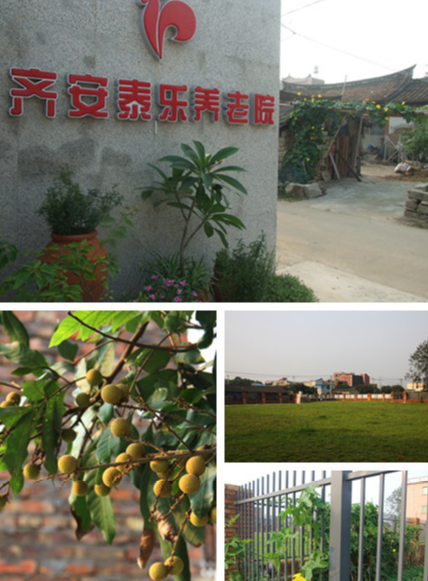 1548561065770080631.png 1.png