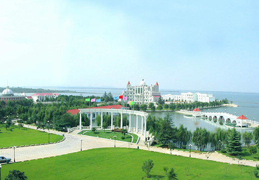 1548663528169099777.png 7.png