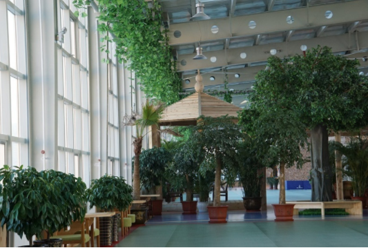 1550222803038081092.png 1.png