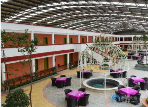 1550732058936056172.png 5.png