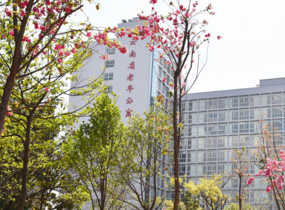 1550738278274070588.png QQ截圖20190221163600.png