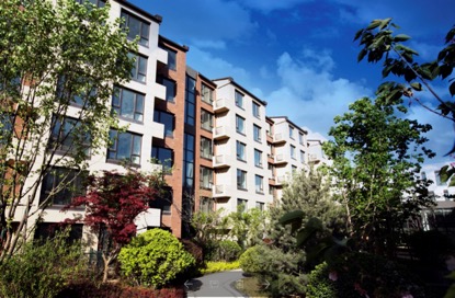 1550799855519092631.jpg 0906145194.jpg