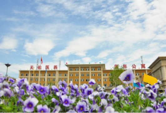 1550806175509072374.png 4.png