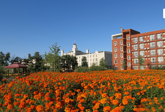 1551145337084055493.png 3.png