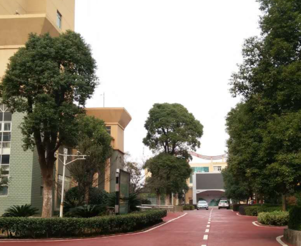 1551344212414072262.png QQ截圖20190228165521.png