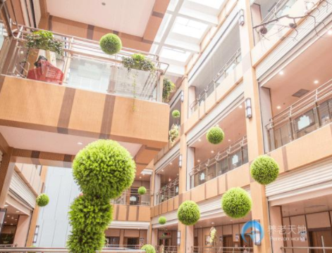 1551682425015058035.png 3.png