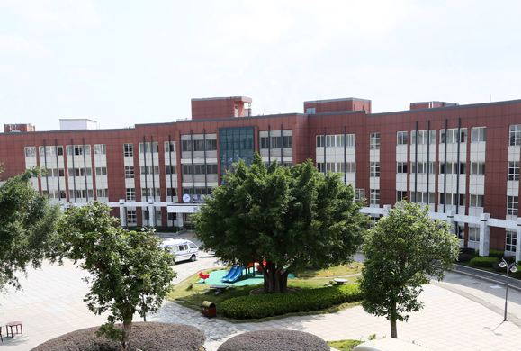 1552446768128026607.png QQ截圖20190313111228.png