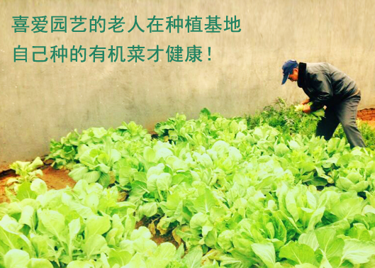 1555314664728050256.png QQ截圖20190415154038.png