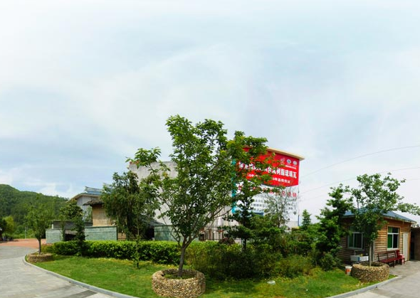 1555338518055054537.png 1.png