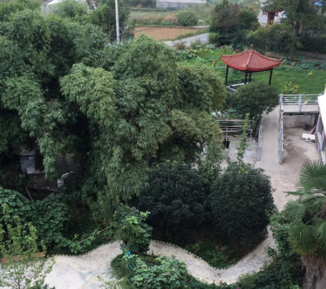 1555509687662056311.png 微信截圖_20190417215932.png