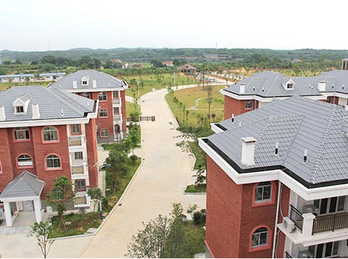 1555916009573037208.png QQ截圖20190422144758.png